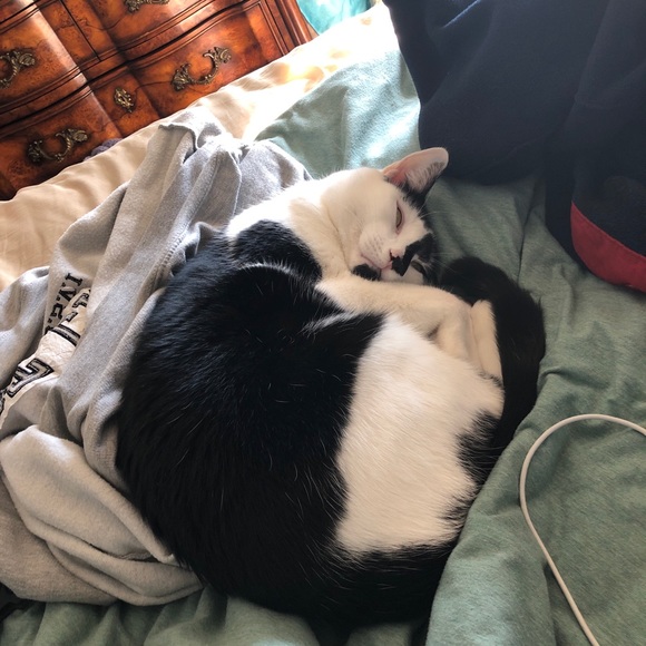 Meet your Posher, Claire - Picture 2 of 2